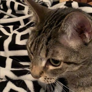 Meet your Posher, Reid